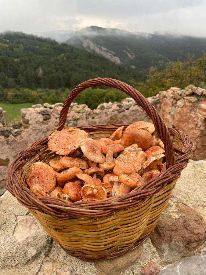 Can Blanc De Vilacireres Gósol Dış mekan fotoğraf