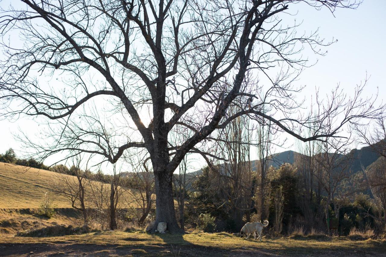 Can Blanc De Vilacireres Gósol Dış mekan fotoğraf